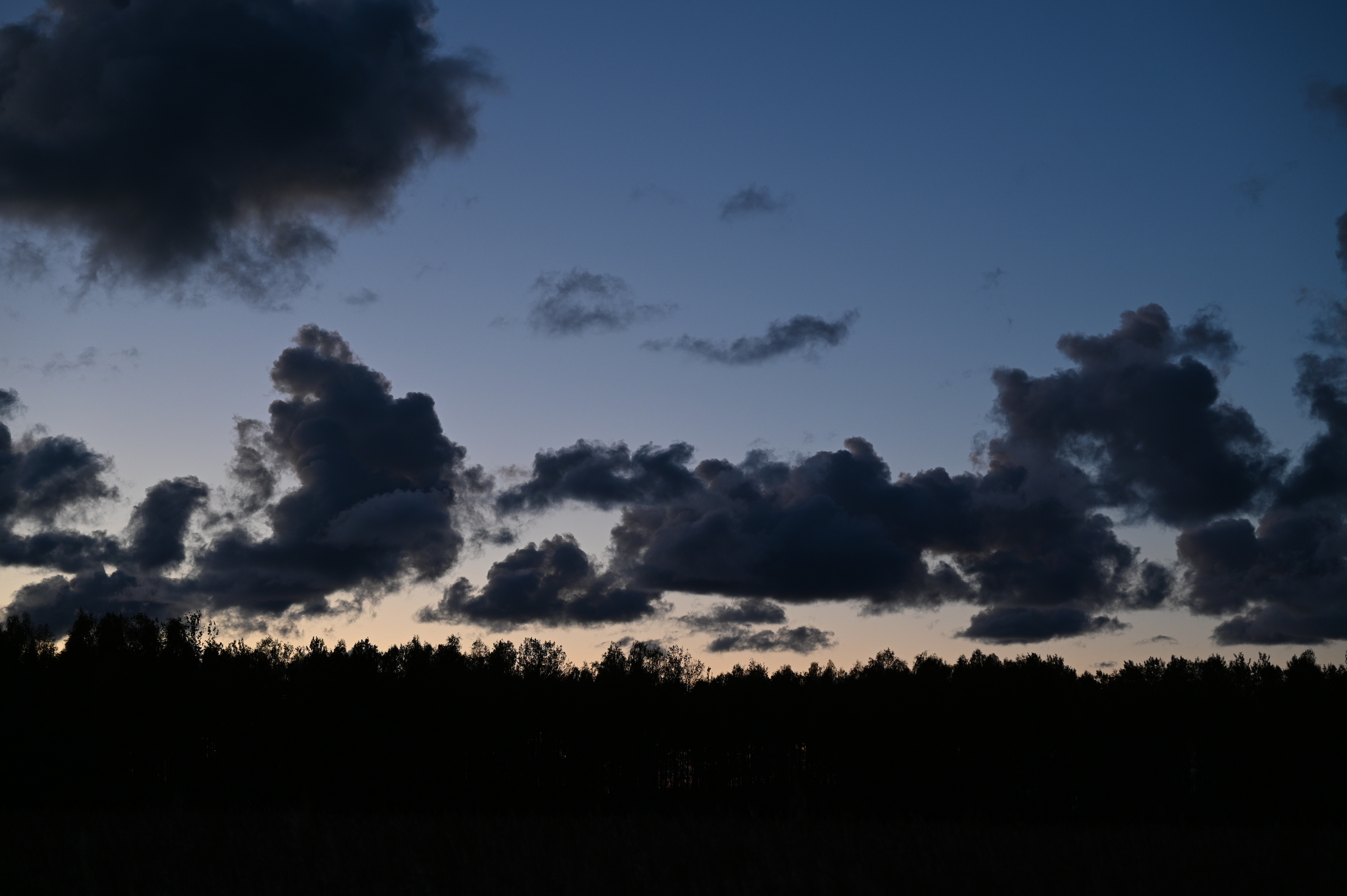 2025/10/18 - walk/DSC_0649.JPG